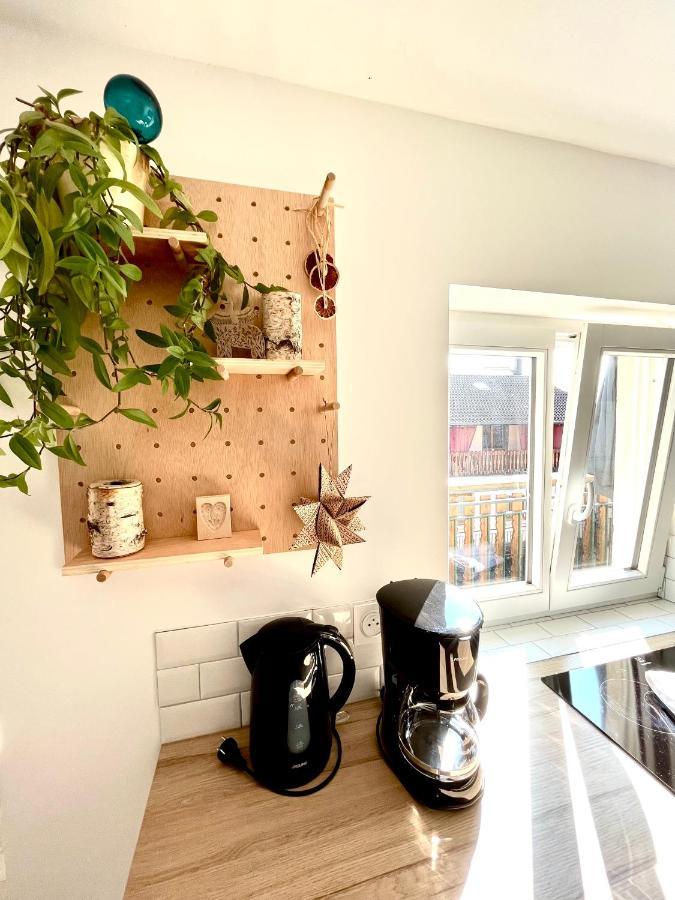 Sous Les Toits Avec Garage Et Terrasse A Ribeauville Luaran gambar